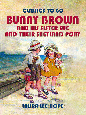 cover image of Bunny Brown and His Sister Sue and Their Shetland Pony